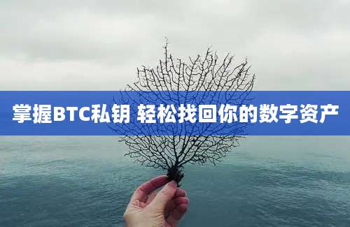 掌握BTC私钥 轻松找回你的数字资产