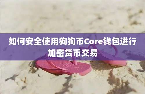 如何安全使用狗狗币Core钱包进行加密货币交易