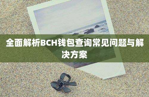 全面解析BCH钱包查询常见问题与解决方案