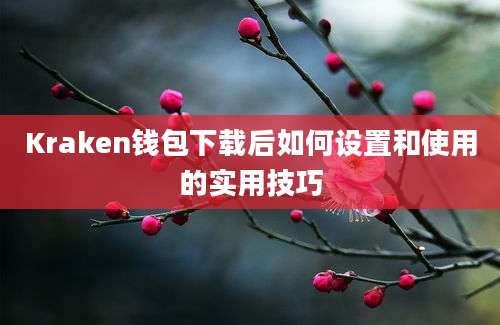 Kraken钱包下载后如何设置和使用的实用技巧