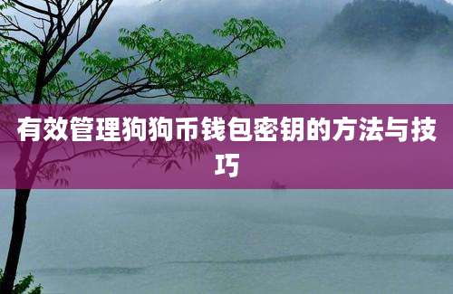 有效管理狗狗币钱包密钥的方法与技巧