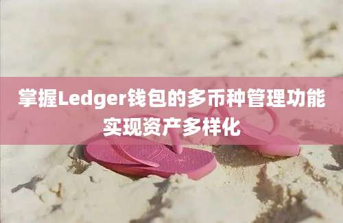 掌握Ledger钱包的多币种管理功能实现资产多样化