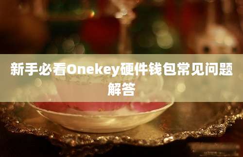 新手必看Onekey硬件钱包常见问题解答