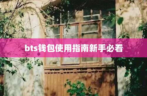 bts钱包使用指南新手必看