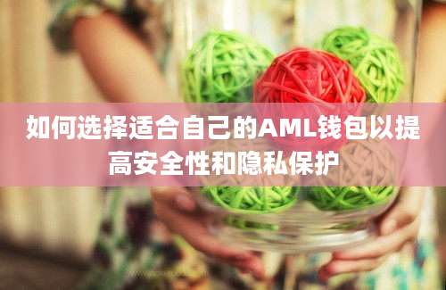 如何选择适合自己的AML钱包以提高安全性和隐私保护