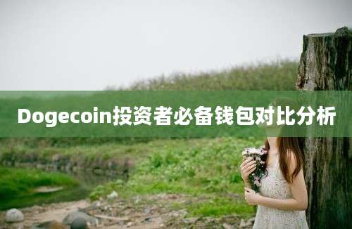 Dogecoin投资者必备钱包对比分析