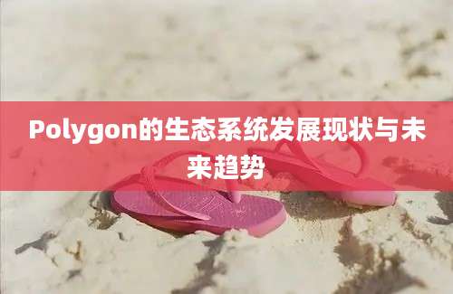 Polygon的生态系统发展现状与未来趋势