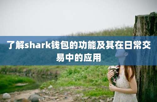 了解shark钱包的功能及其在日常交易中的应用