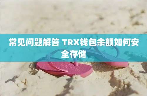 常见问题解答 TRX钱包余额如何安全存储