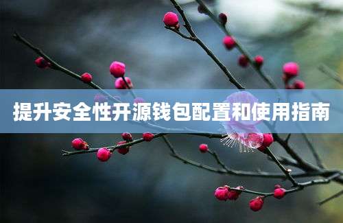 提升安全性开源钱包配置和使用指南