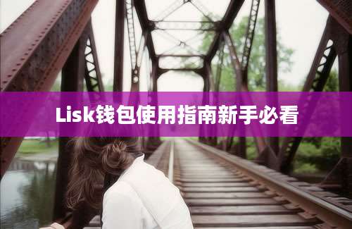 Lisk钱包使用指南新手必看