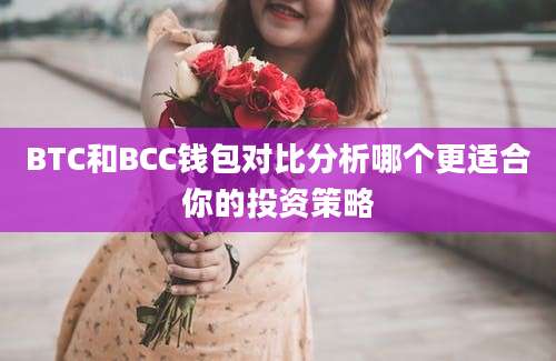 BTC和BCC钱包对比分析哪个更适合你的投资策略