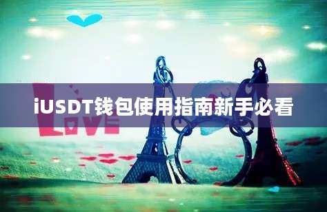 iUSDT钱包使用指南新手必看