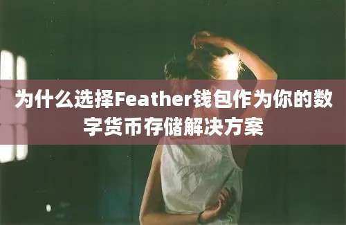 为什么选择Feather钱包作为你的数字货币存储解决方案