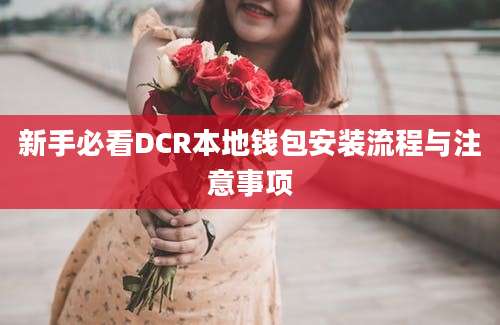 新手必看DCR本地钱包安装流程与注意事项