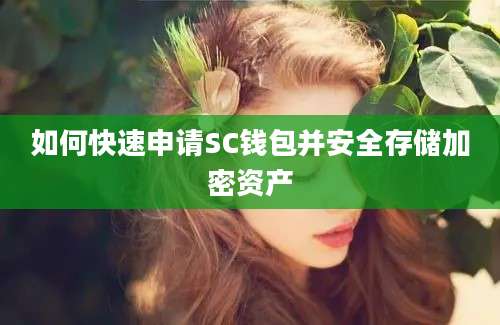 如何快速申请SC钱包并安全存储加密资产