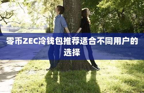 零币ZEC冷钱包推荐适合不同用户的选择