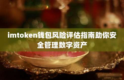 imtoken钱包风险评估指南助你安全管理数字资产