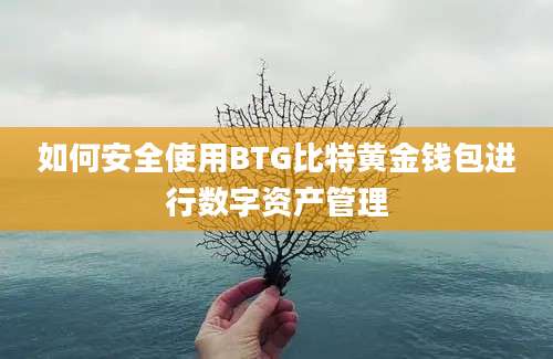 如何安全使用BTG比特黄金钱包进行数字资产管理