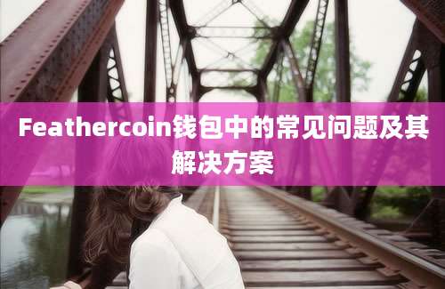 Feathercoin钱包中的常见问题及其解决方案