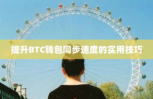 提升BTC钱包同步速度的实用技巧