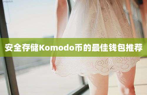 安全存储Komodo币的最佳钱包推荐