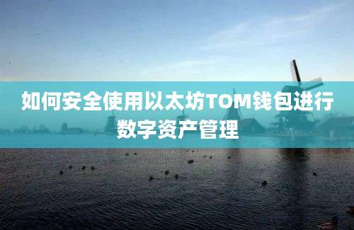 如何安全使用以太坊TOM钱包进行数字资产管理