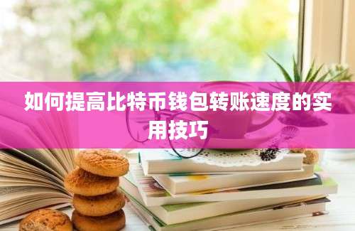 如何提高比特币钱包转账速度的实用技巧