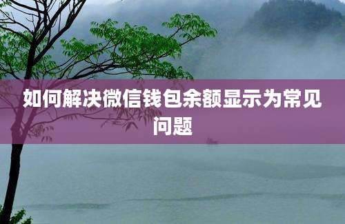 如何解决微信钱包余额显示为常见问题