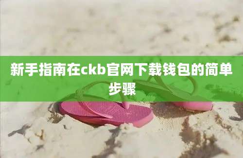 新手指南在ckb官网下载钱包的简单步骤