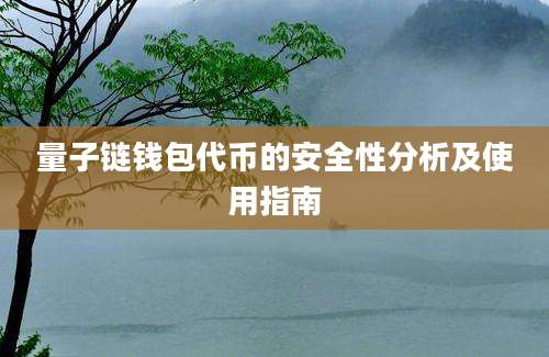 量子链钱包代币的安全性分析及使用指南