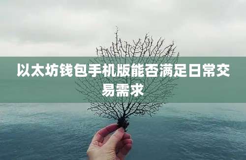 以太坊钱包手机版能否满足日常交易需求