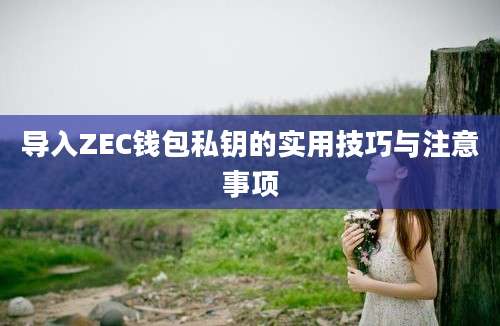 导入ZEC钱包私钥的实用技巧与注意事项