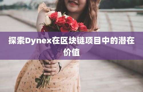 探索Dynex在区块链项目中的潜在价值