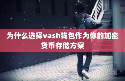 为什么选择vash钱包作为你的加密货币存储方案