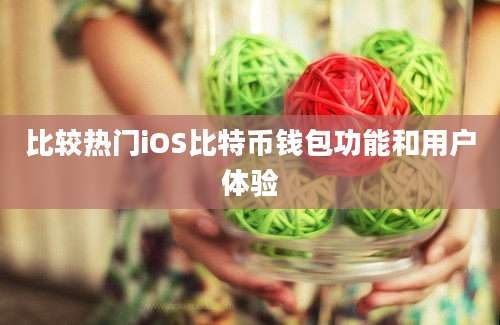 比较热门iOS比特币钱包功能和用户体验