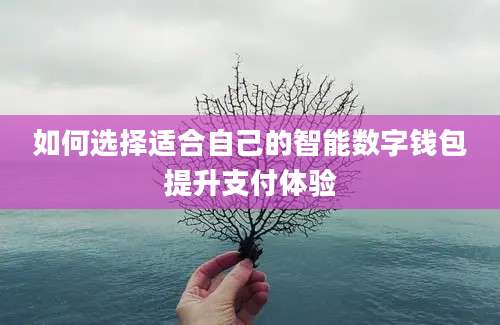 如何选择适合自己的智能数字钱包提升支付体验